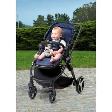 موسيقى الراكون الغائم في شيكو أثناء التنقل