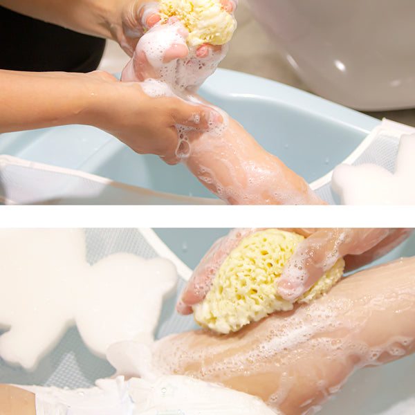 إسفنجة البحر الطبيعية من بيبي جيم