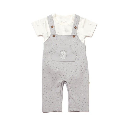 Biorganic Koala Jungle Slopet Overall Grey
