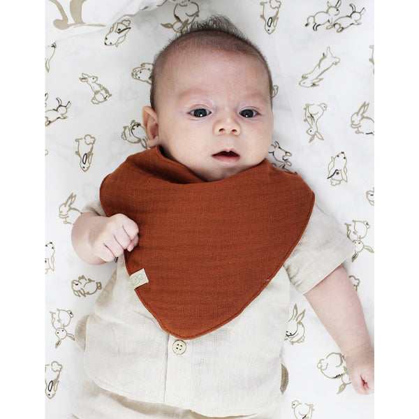 Bistyle Organic Muslin Baby Scarf (0-24 M) Colored