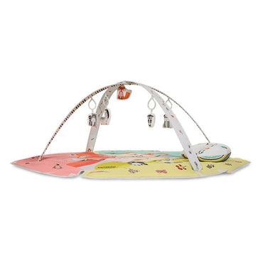 ليونيلو تعليمية مات جيني