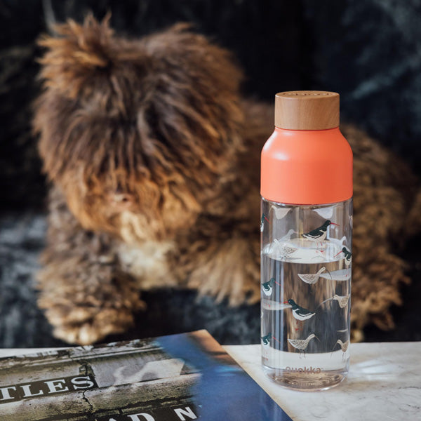 زجاجة كوكا إيكوزين بنكهة طيور الثلج 720 مل