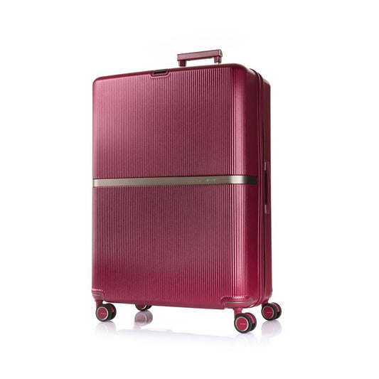 Samsonite Minter Spinner 81/30 Exp