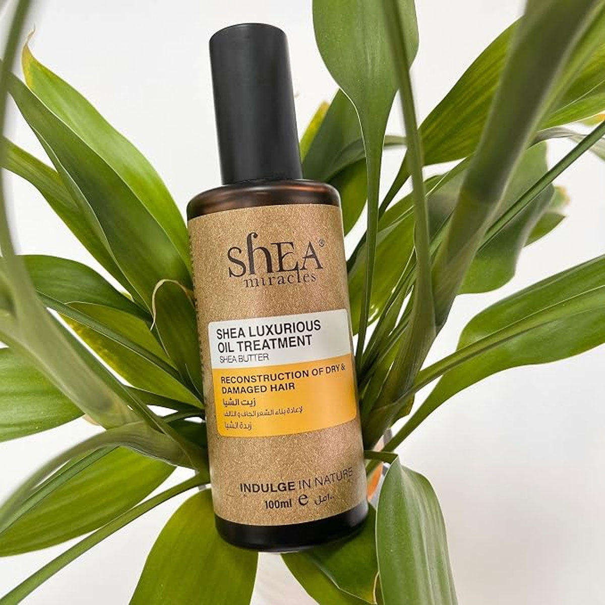 Shea Miracles Shea Luxurious Oil 100ml