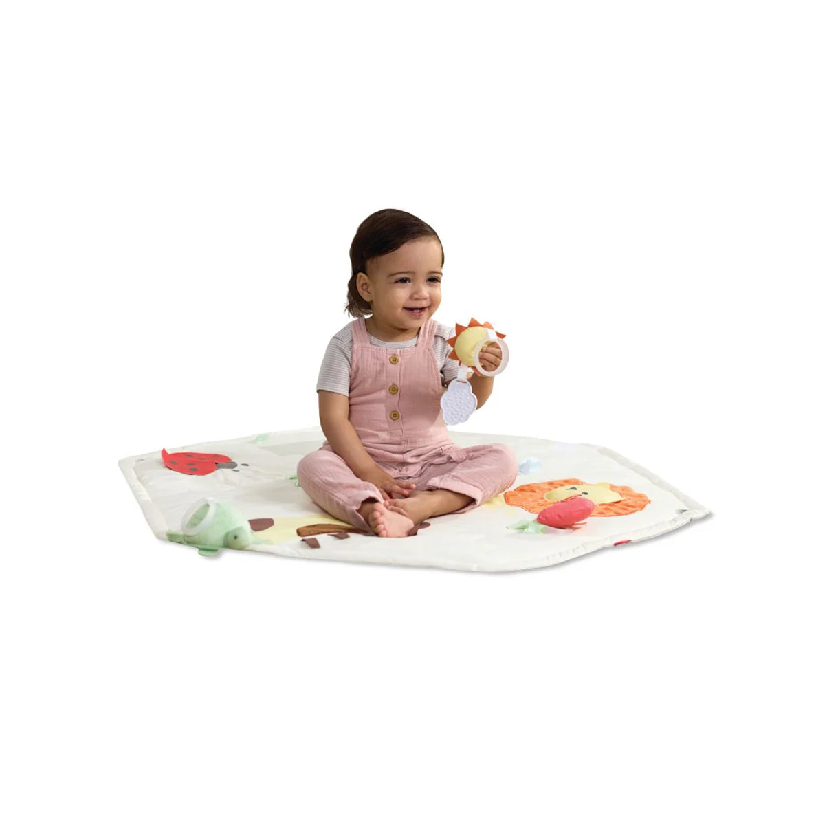 Skip Hop Geometric Wonders Activity Gym