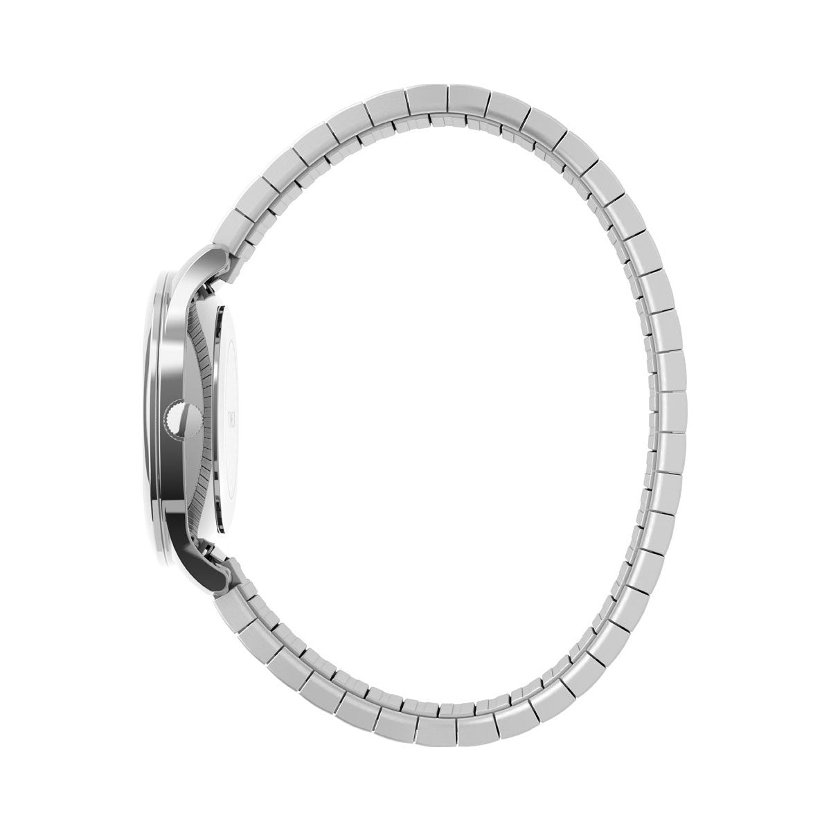 Timex Easy Reader