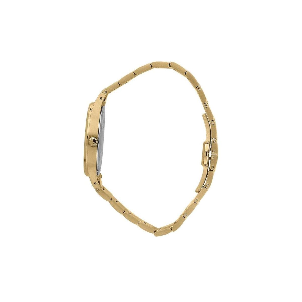 Trussardi Gold Edition R2453149502 Women’s Watch 34 Mm Gold