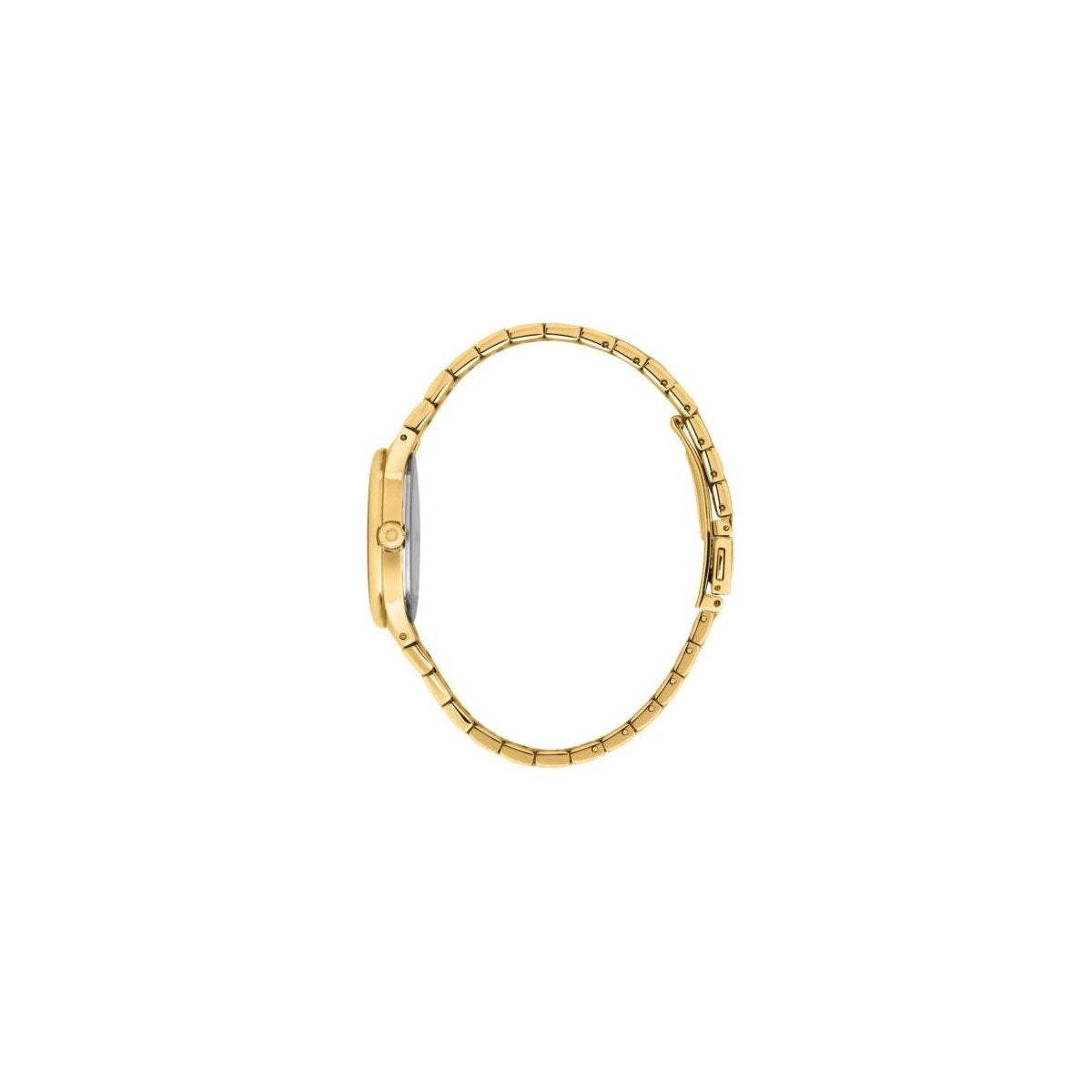 Trussardi R2453172501 Women’s Watch 32Mm Gold