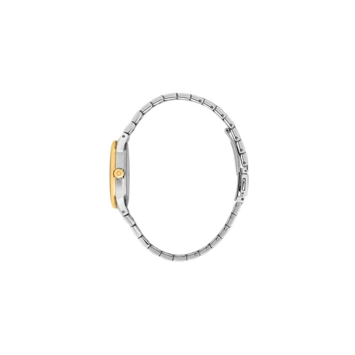 Trussardi R2453172502 Women’s Watch 32Mm Silver Gold