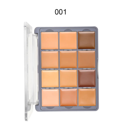 Academic Concealer Palette