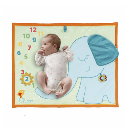 Chicco Toy Eco+ Milestone Playmat
