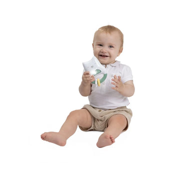 Chicco Toy FD Day And Night Owl Rattle