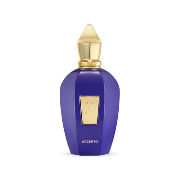 Xerjoff Unisex V Accento Eau De Parfum 100ML