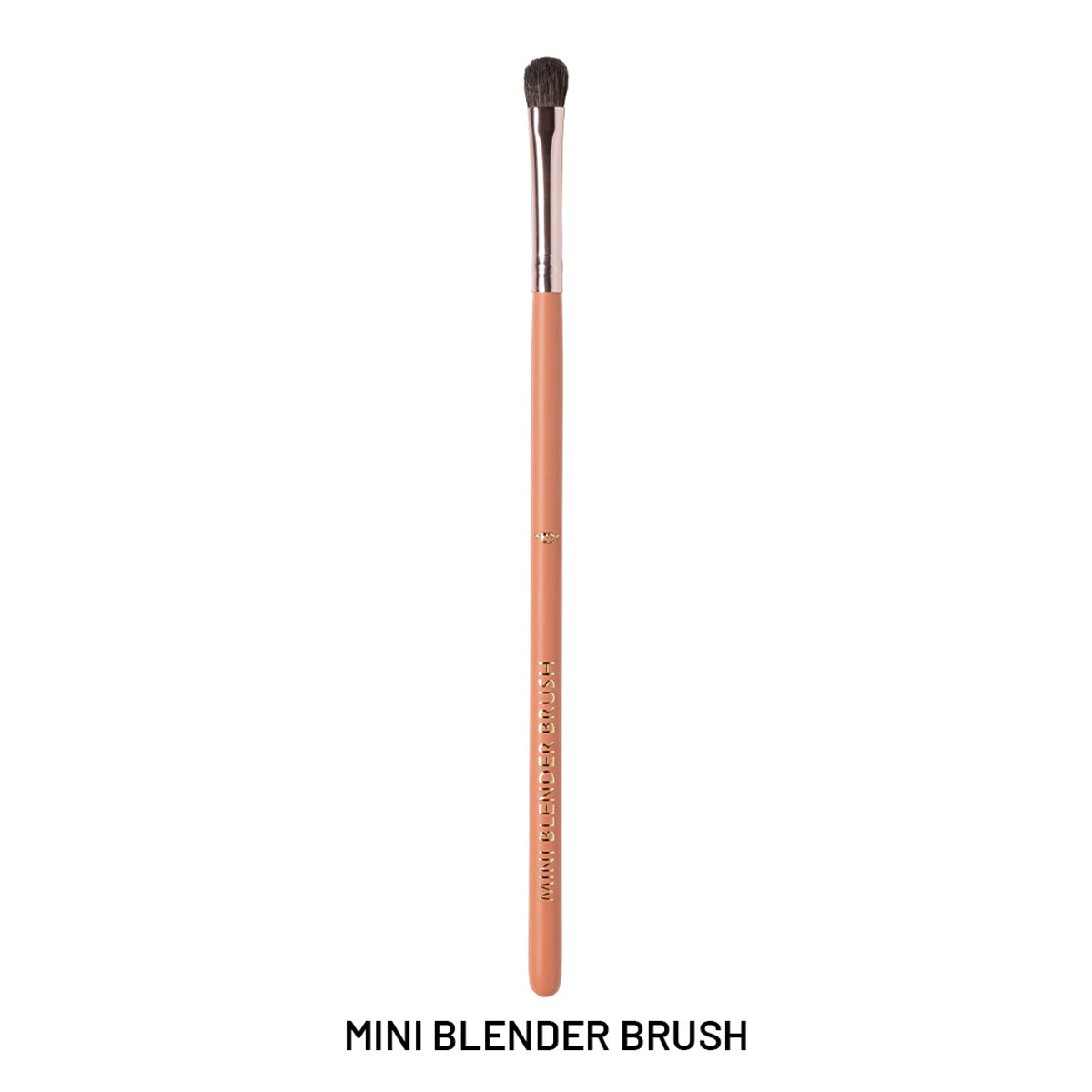 Forever52 12 Pieces Brush Set