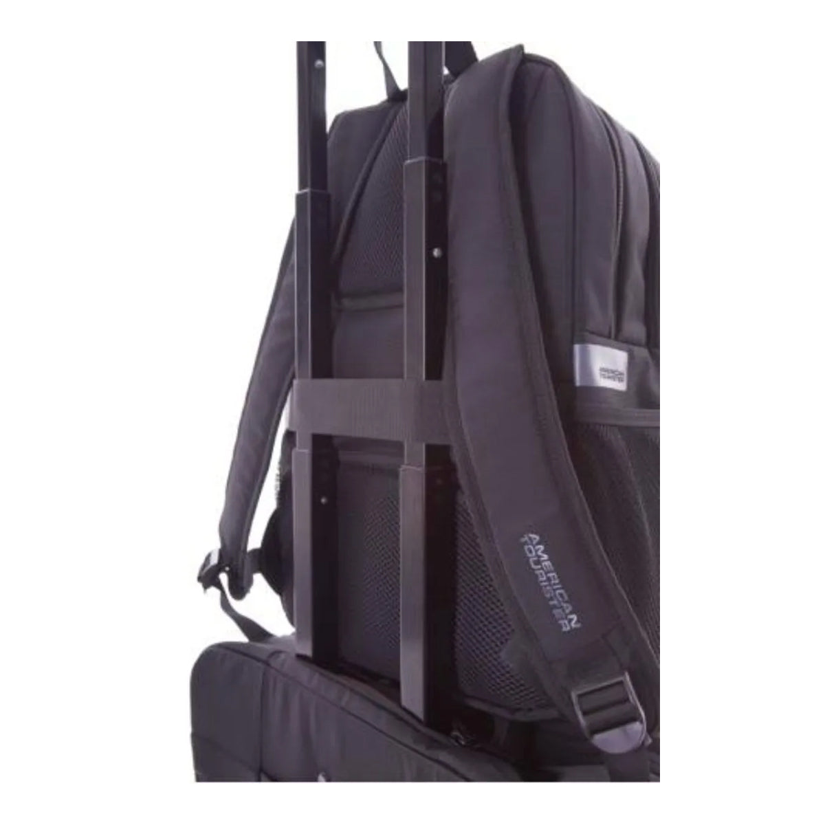 American Tourister Amber Laptop Backpack