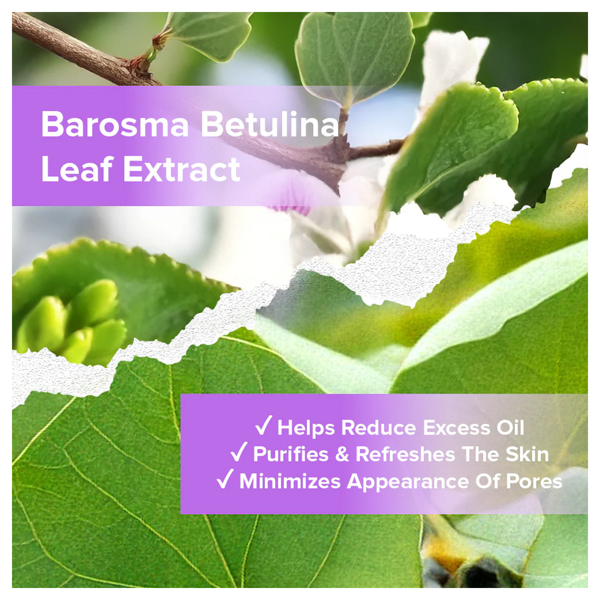 Forever52 Mist + Fix It Setting Spray