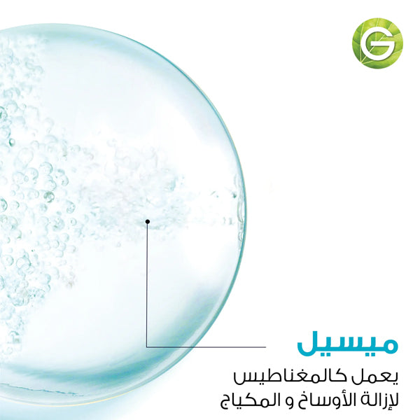 غارنييه سكين أكتيف فاست كلير ماء ميسيلار منظف بحمض الساليسيليك 400 مل غارنييه سكين أكتيف فاست كلير ماء ميسيلار منظف بحمض الساليسيليك 400 مل