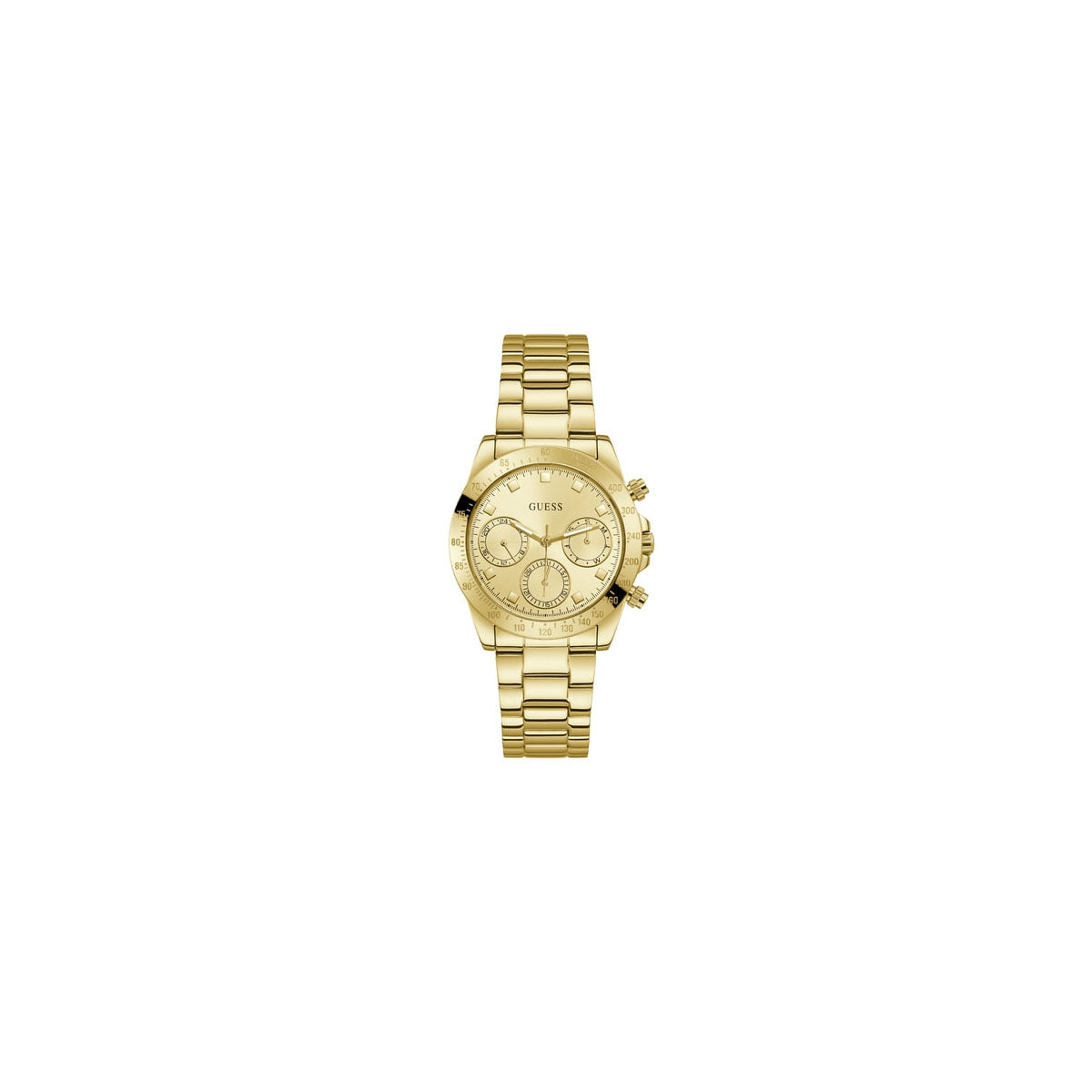 Guess - Gc Eclipse