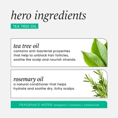 Hask 5 In 1 Leave - In Spray With Tea Tree Oil & Rosemary 175ml