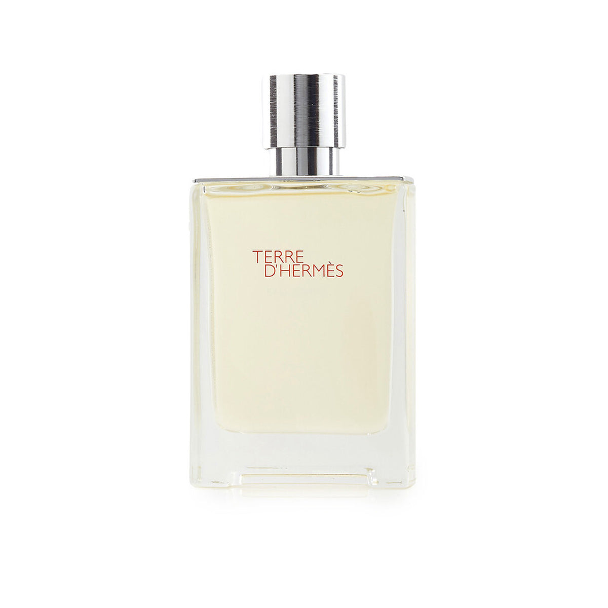 Hermes Men's Terre D' Eau Givree Edp 