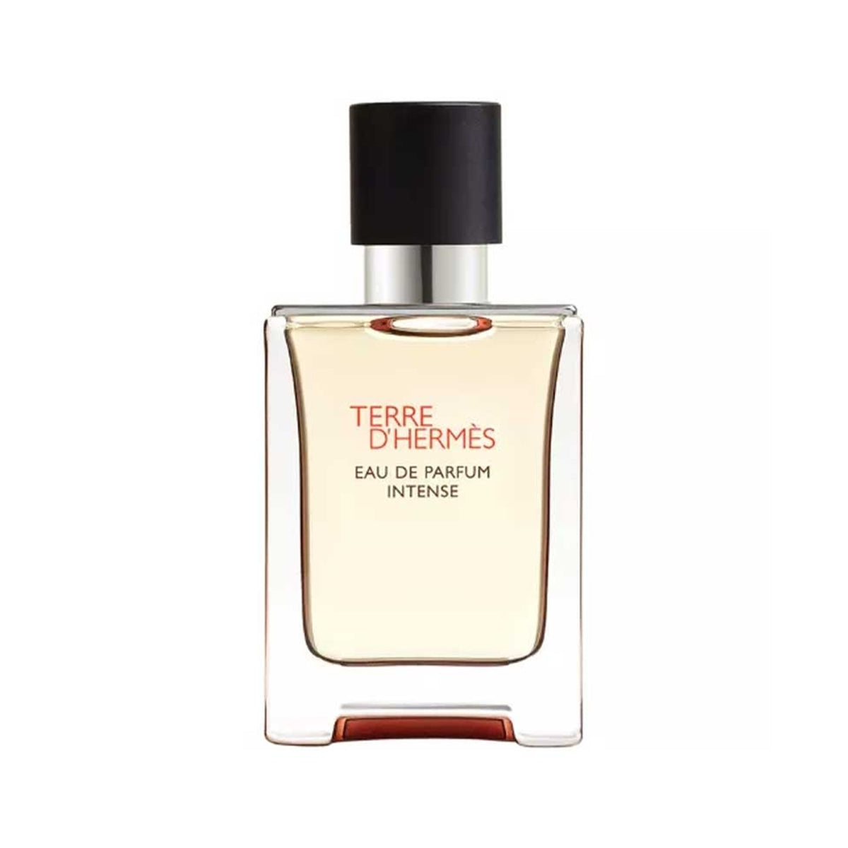 Hermes Men's Terre D' Intense Edp