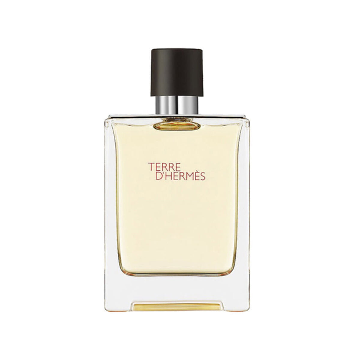 Hermes Terre Dhermes Edt 100ML