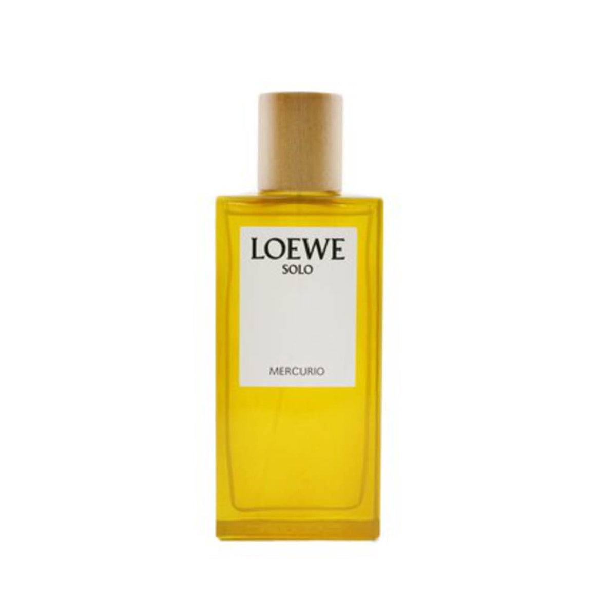 Loewe Men's Solo Mercurio Edp 100ML Loewe Men's Solo Mercurio Edp 100ML