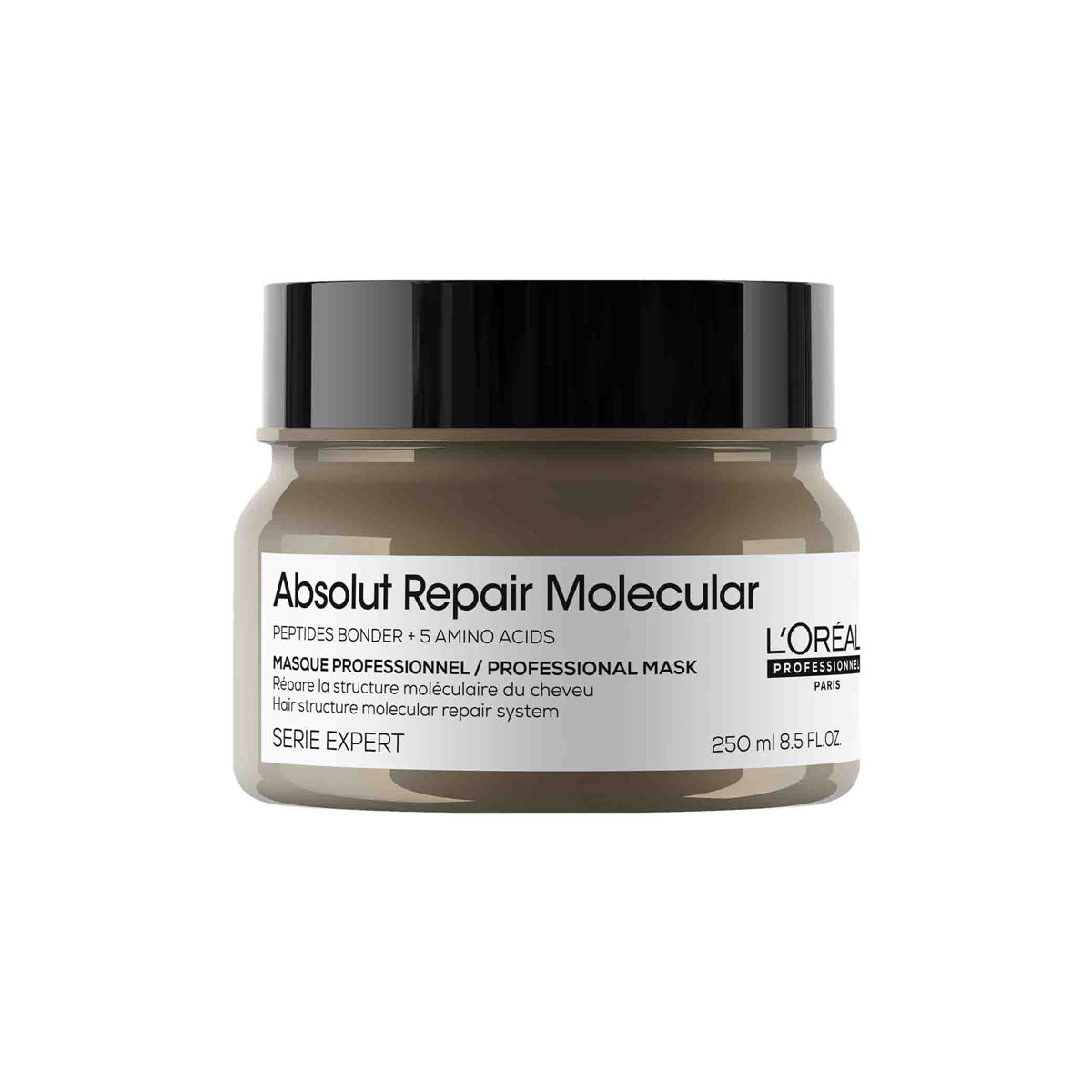 Loreal Paris Series Expert Absolut Repair Molecular Rinse-off Hair Mask 250ml