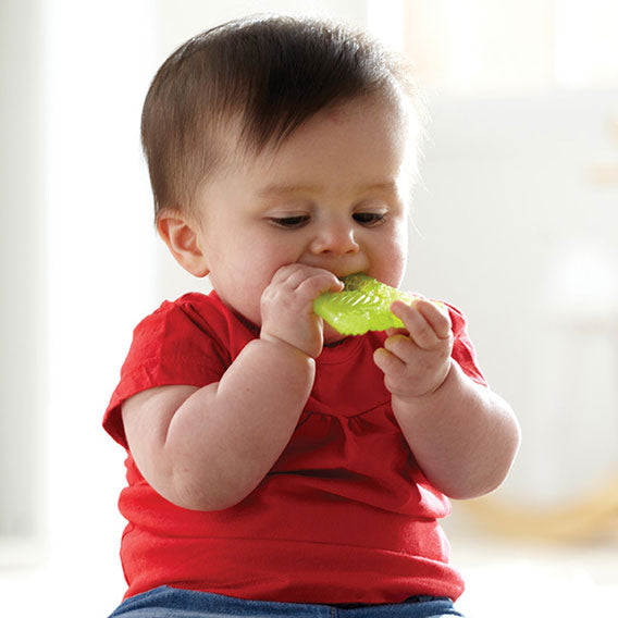 Munchkin Fun Ice Chewy Teether 1pk