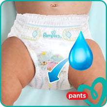 Load image into Gallery viewer, Pampers Pants 6 48 Diapers