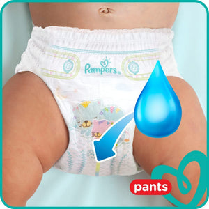 Pampers Pants 6 48 Diapers