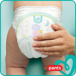 Pampers Pants 6 48 Diapers