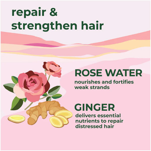 Petal Fresh Repair & Nourish with Ginger and Rose Water Shampoo 475ml