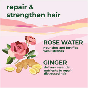 Petal Fresh Repair & Nourish with Ginger and Rose Water Shampoo 475ml