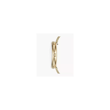Skagen SKW2625 Signature Women’s Watch 36mm Gold