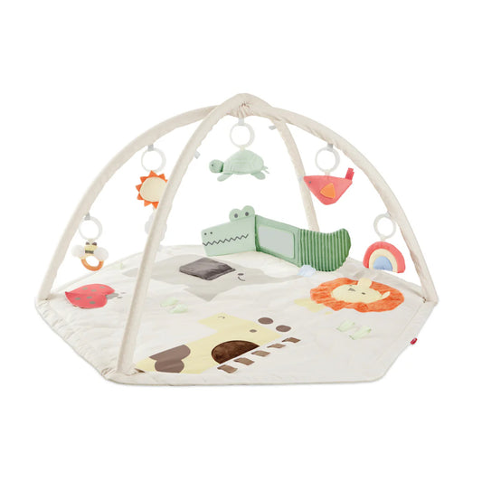 Skip Hop Geometric Wonders Activity Gym