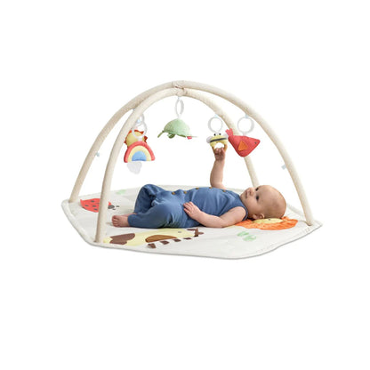 Skip Hop Geometric Wonders Activity Gym