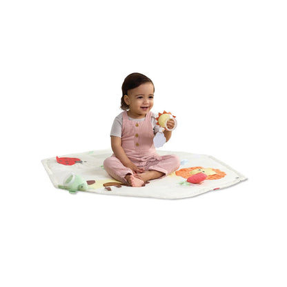 Skip Hop Geometric Wonders Activity Gym