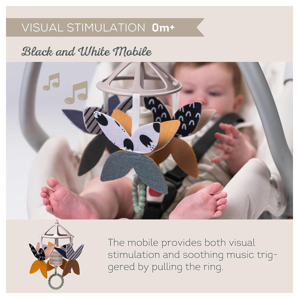 Taf Toys Black & White Newborn Kit