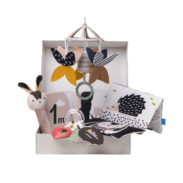Taf Toys Black & White Newborn Kit