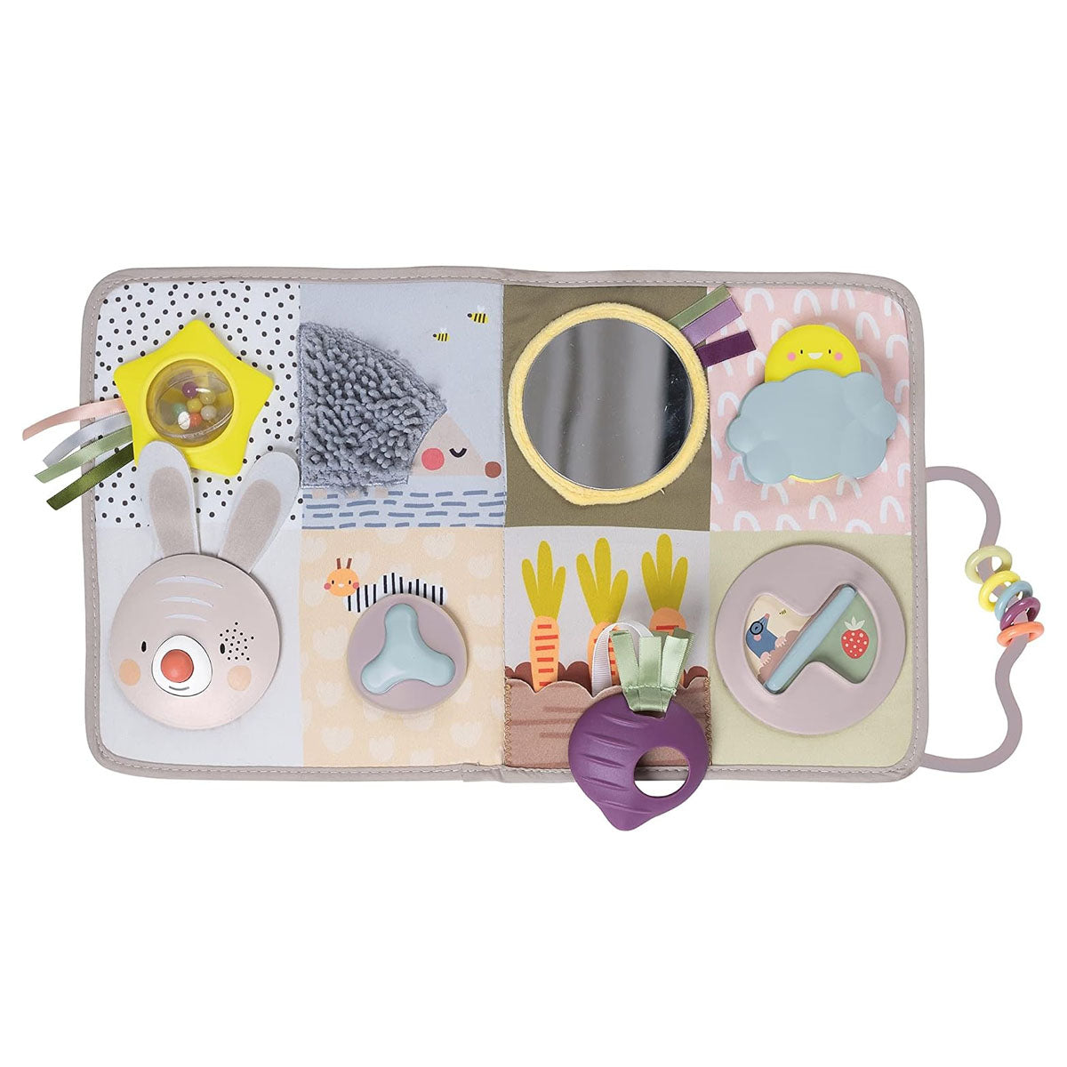 Taf Toys Developmental Activity Center Kit
