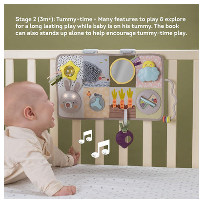 Taf Toys Developmental Activity Center Kit