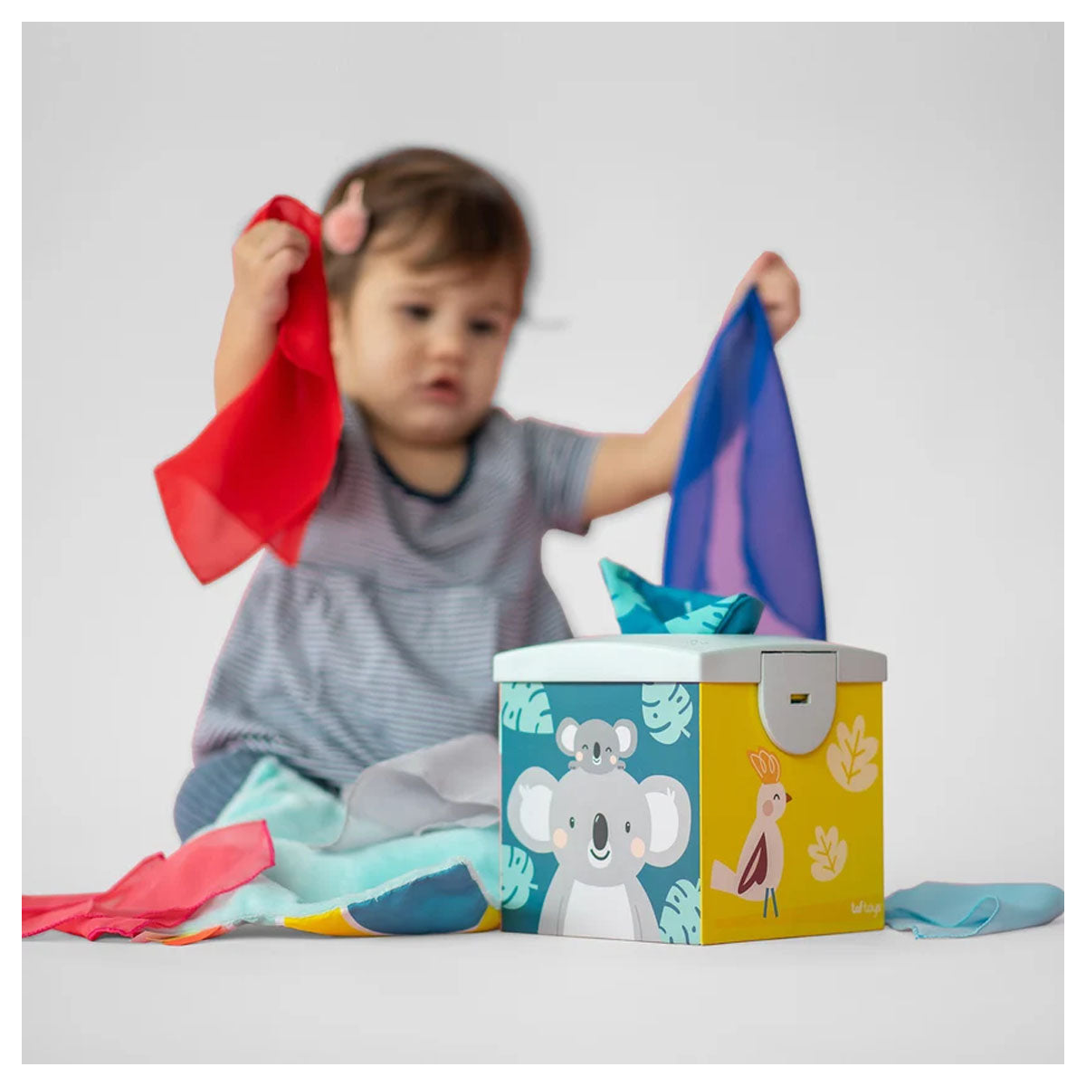 Taf Toys Kimmy Koala Wonder Tissue Box