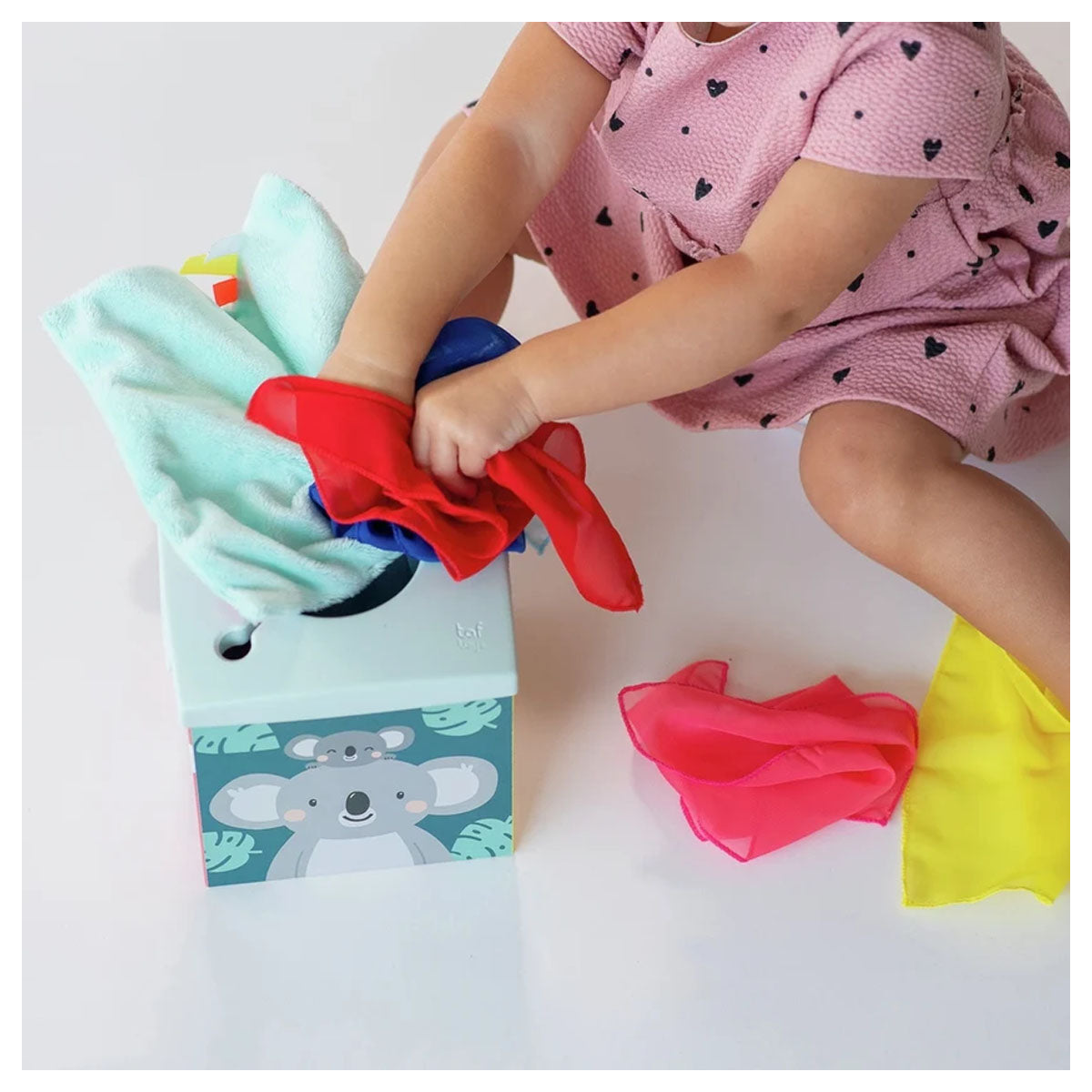 Taf Toys Kimmy Koala Wonder Tissue Box