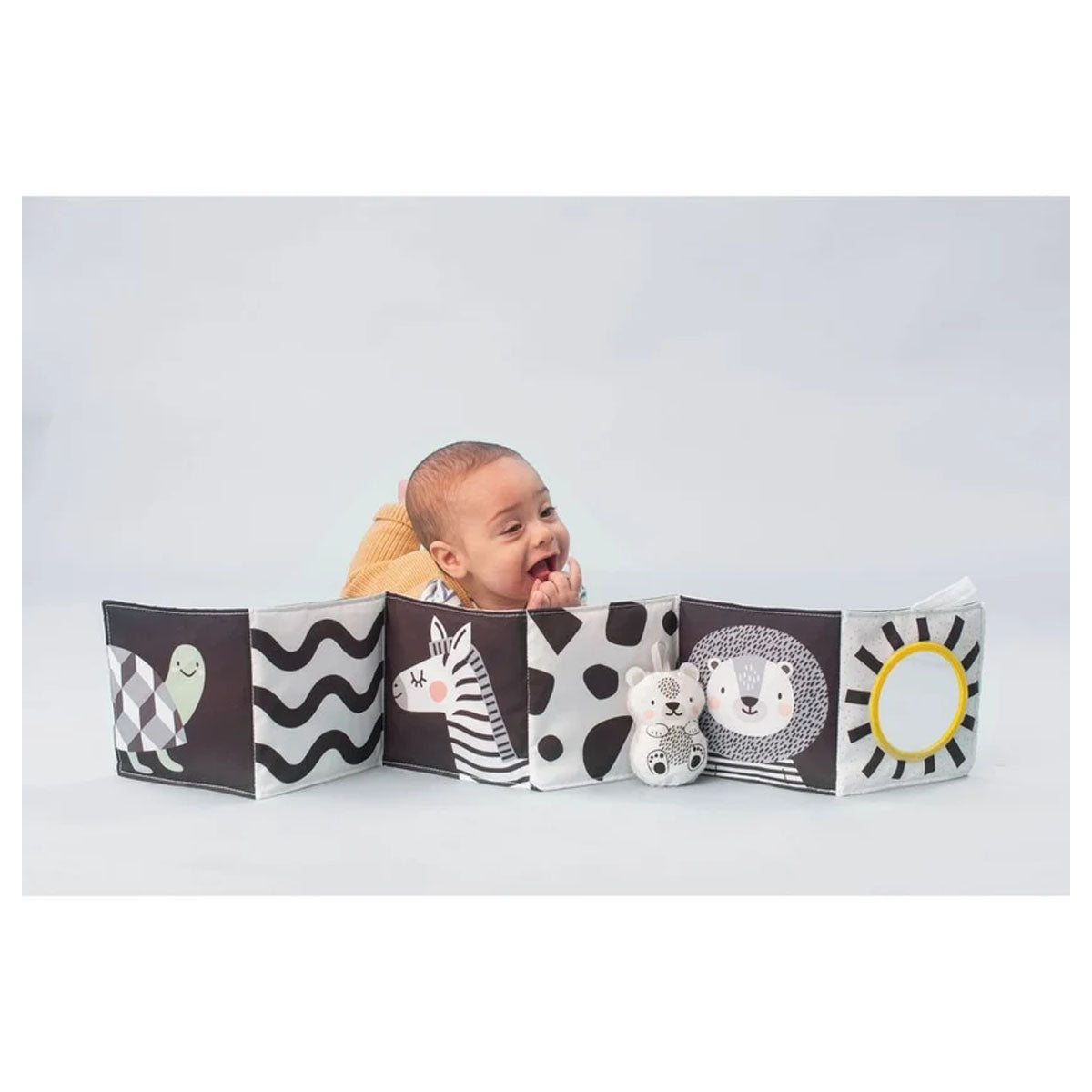 Taf Toys Savannah Black and White Book