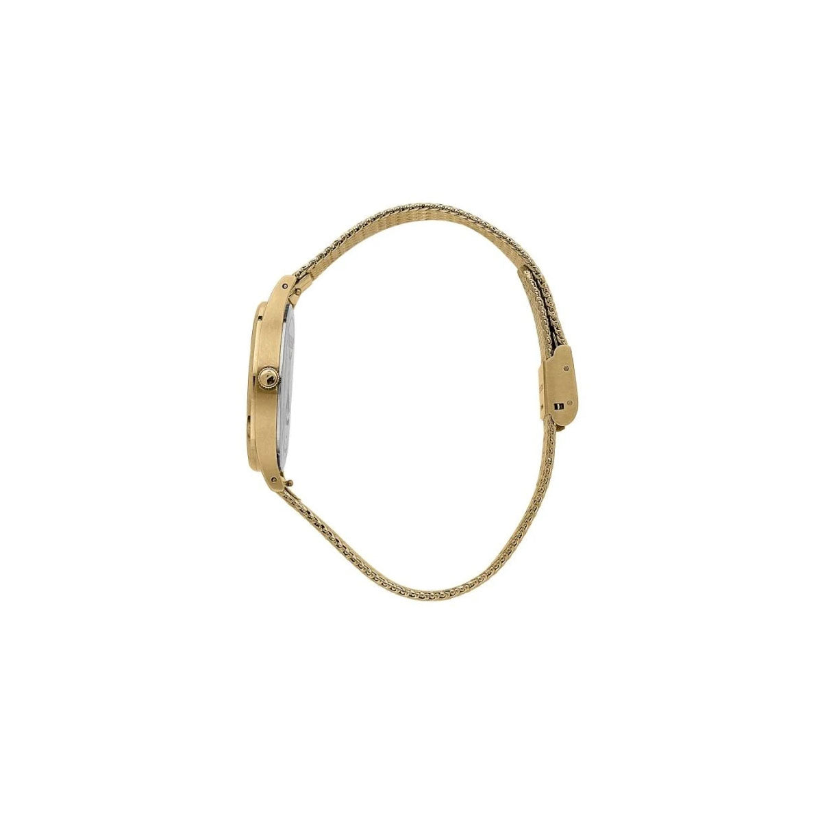 Trussardi T-Star R2453152501 Women’s Watch 34Mm Gold Trussardi T-Star R2453152501 Women’s Watch 34Mm Gold