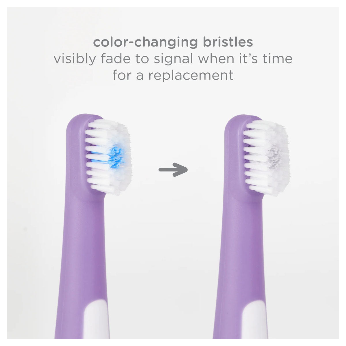 Ubbi Bristled Toddler Toothbrush 2-pack - Purple & Green