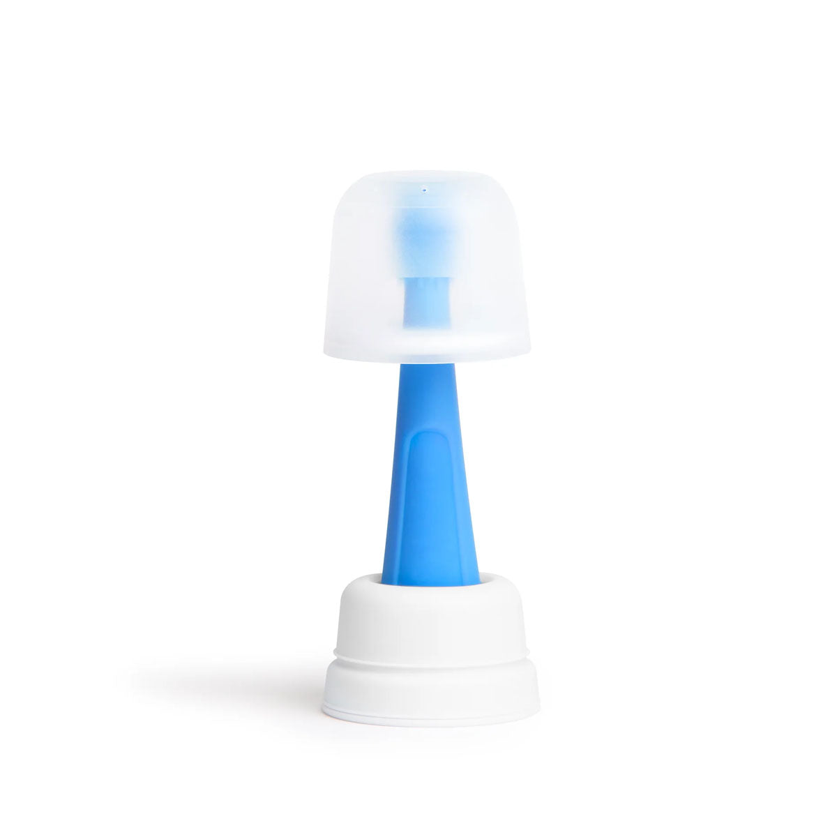 Ubbi Silicone Training Toothbrush Set With Case - Blue
