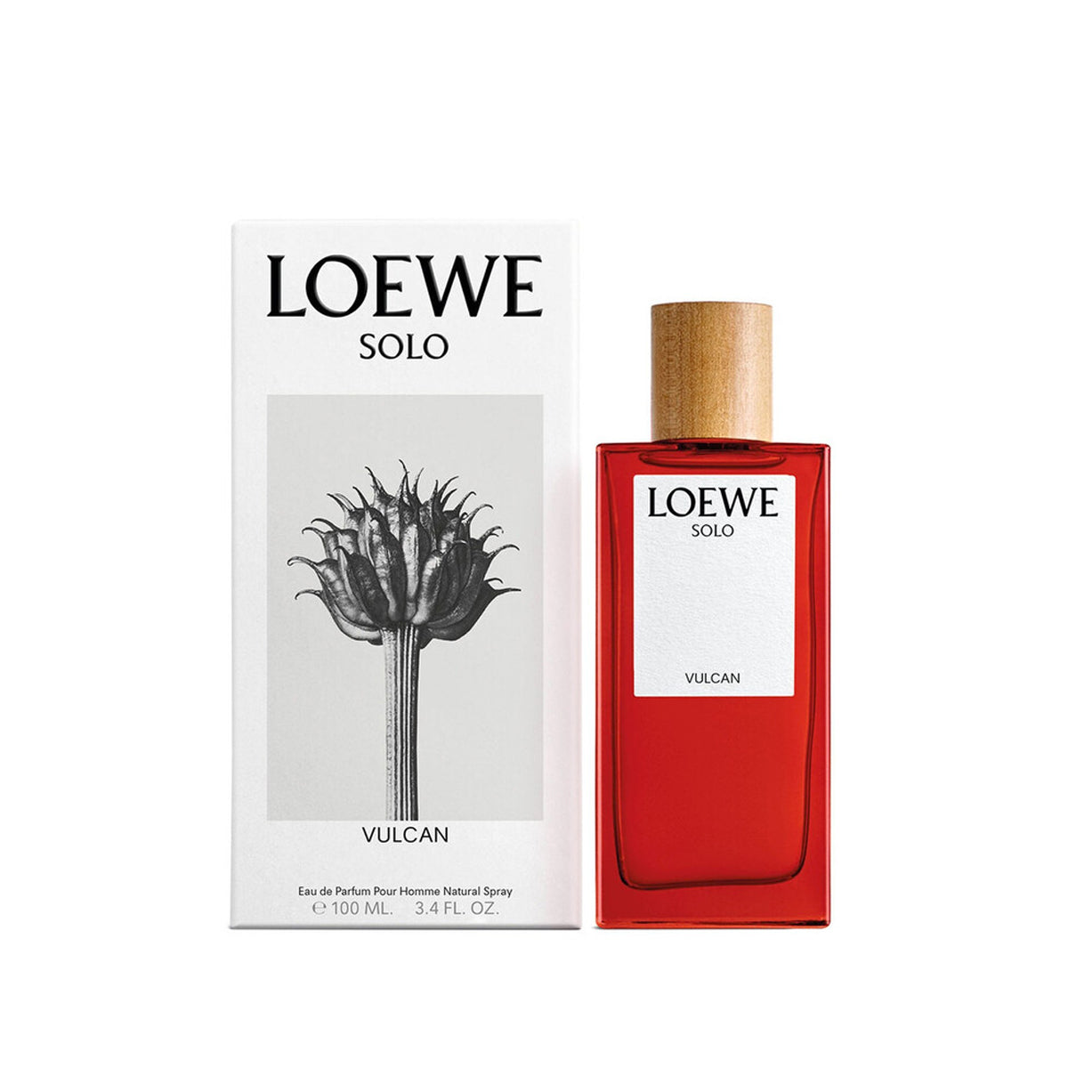 Loewe Men's Solo Vulcan Edp 100ML Loewe Men's Solo Vulcan Edp 100ML