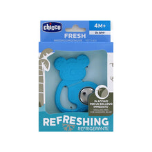 Load image into Gallery viewer, Chicco Stainless Steel Fresh Teether 4m+